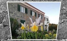 Belo Campo - Ilha Do Faial